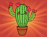 Cactus corazón