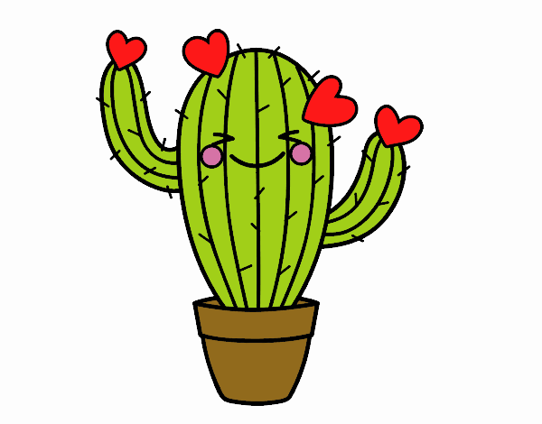 Cactus de amor
