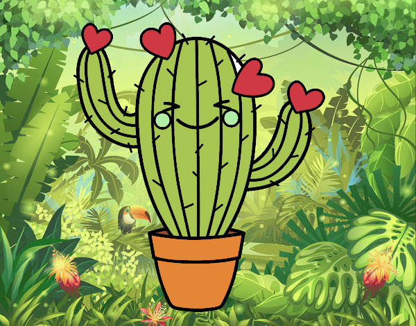 Cactus corazón