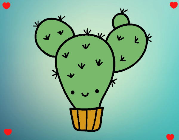 Cactus nopal