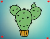 Cactus nopal