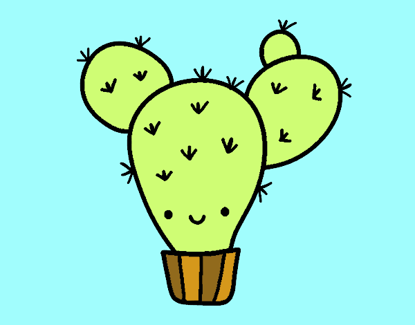 Cactus nopal