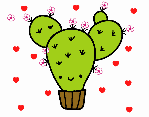 Cactus nopal