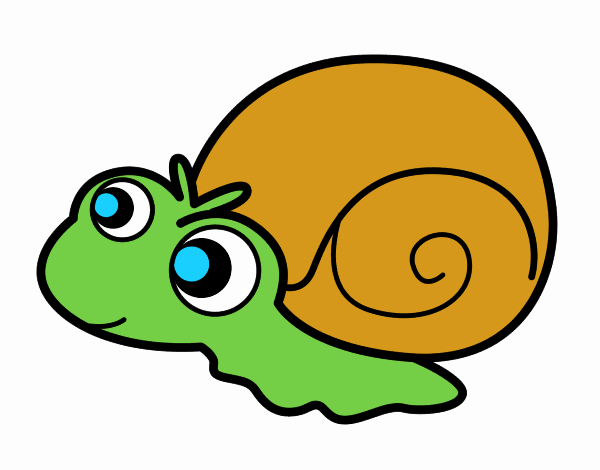 Caracol bebé