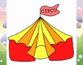 Circo