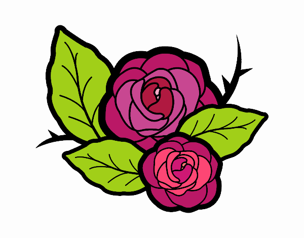 Dos rosas