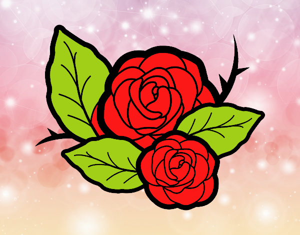 Dos rosas