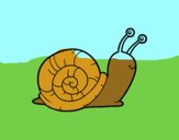 El caracol