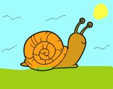 El caracol