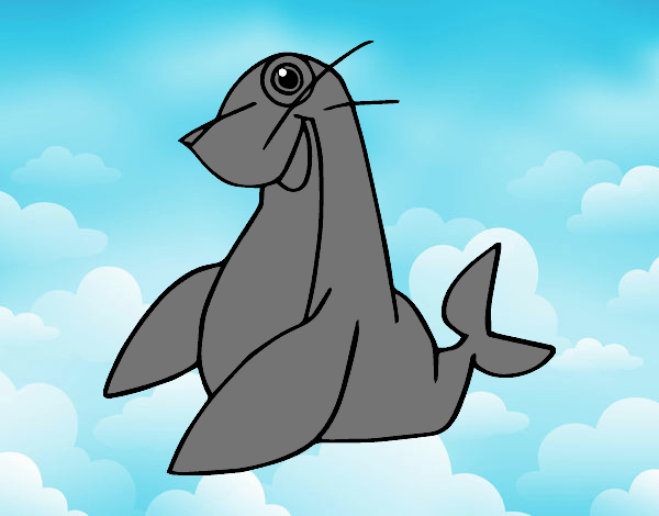 la foca voladora