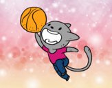 Gato jugando a baloncesto