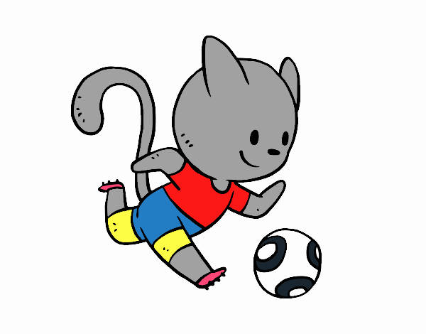 Gato jugando a fútbol