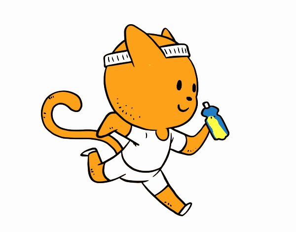 Gato runner