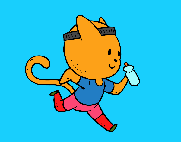 Gato runner