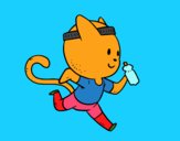 Gato runner