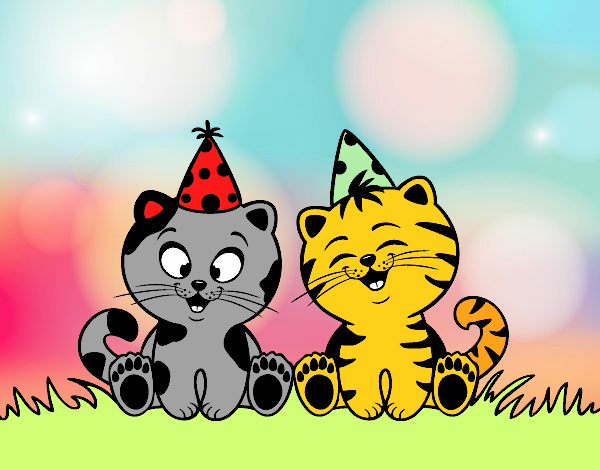 Gatos de cumpleaños