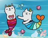 Gatos sirena