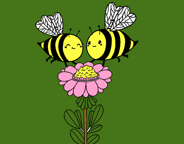 Pareja de abejas