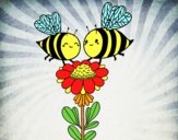 Pareja de abejas