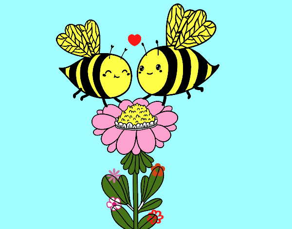 Pareja de abejas