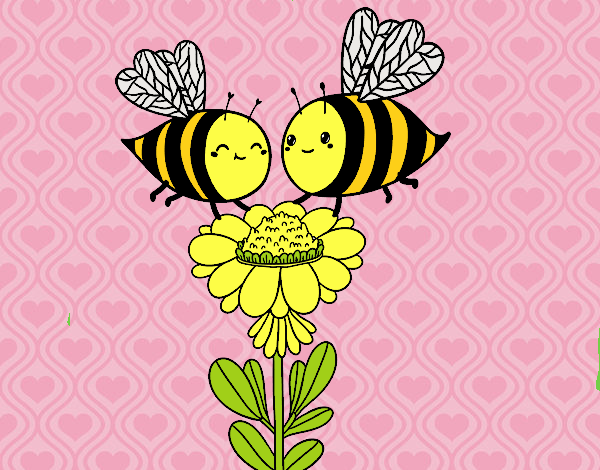 Abejas y Amor 