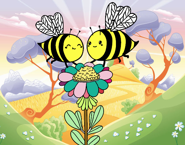 Pareja de abejas