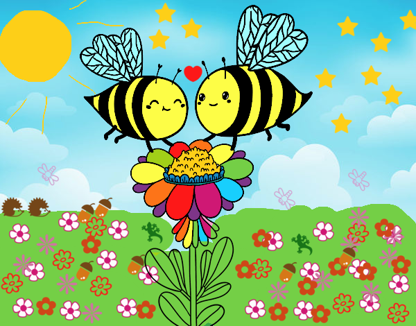 Pareja de abejas