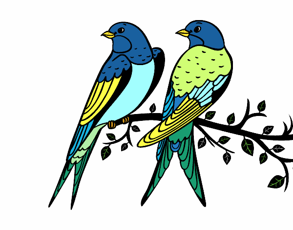 Dibujo de Pareja de pájaros pintado por en  el día 15-06-20 a  las 04:27:48. Imprime, pinta o colorea tus propios dibujos!