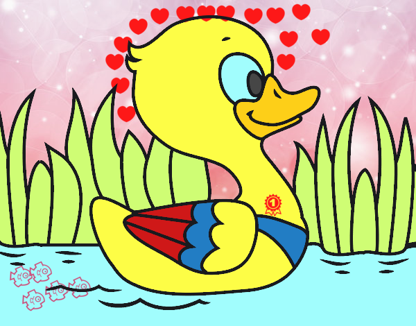 Patito de río