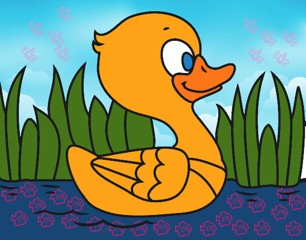 Patito de río