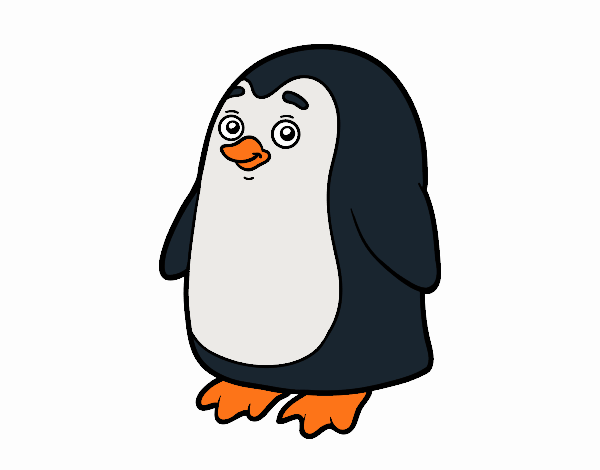 Pingüi