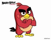 Red de Angry Birds