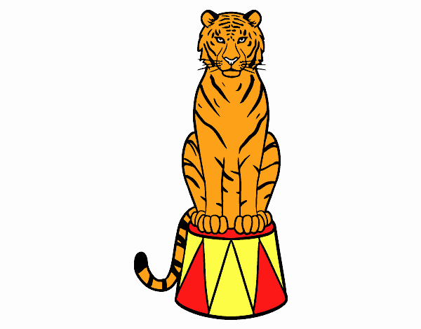 Tigre de circo