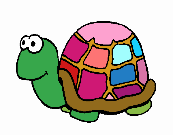 Tortuga 1