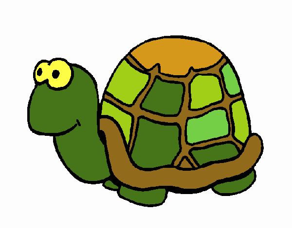 Tortuga 1