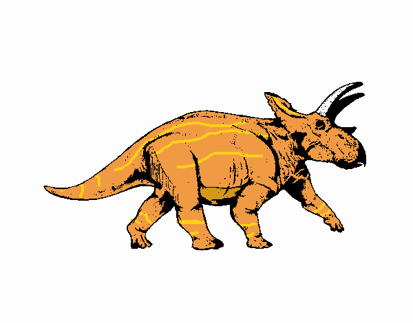 Triceratops 1