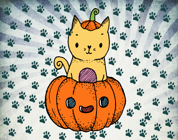 Un gatito de Halloween