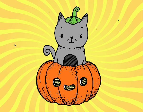 Un gatito de Halloween