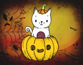 Un gatito de Halloween