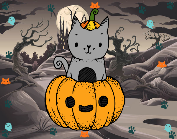 GATO DE HALLOWEEN