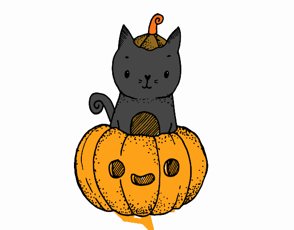 LE GATO Y LE CALABAZA