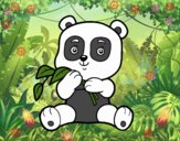 Un oso panda