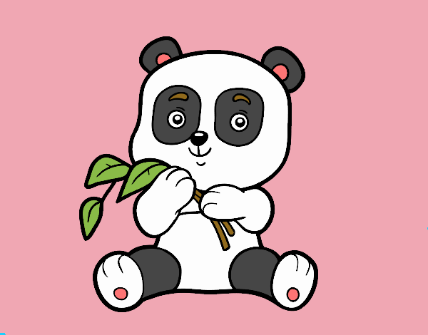 Un oso panda