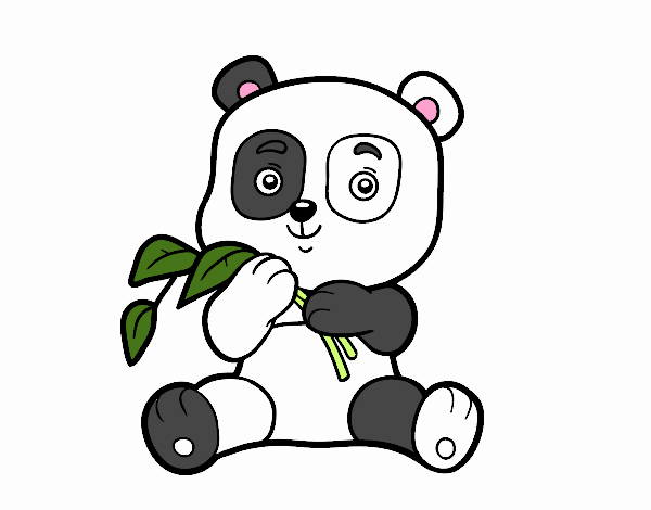 Un oso panda