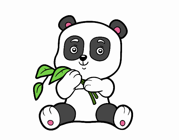 Un oso panda