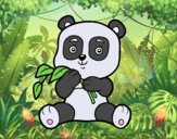 Un oso panda