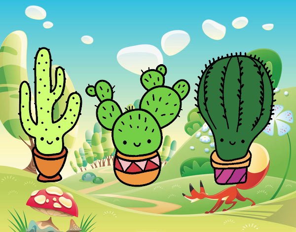 3 mini cactus