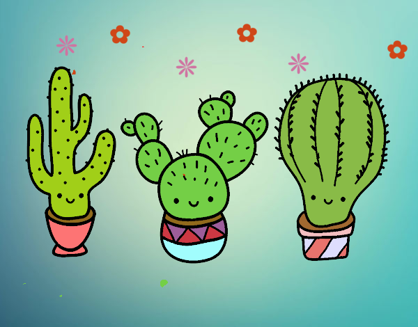 Cactus kawai