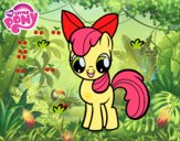 Apple Bloom