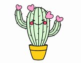 Cactus corazón